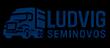 Ludvig Seminovos